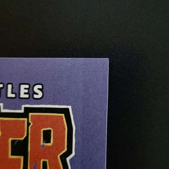 Teenage Mutant Ninja Turtles: Nightwatcher #3 - Picture 5 of 7